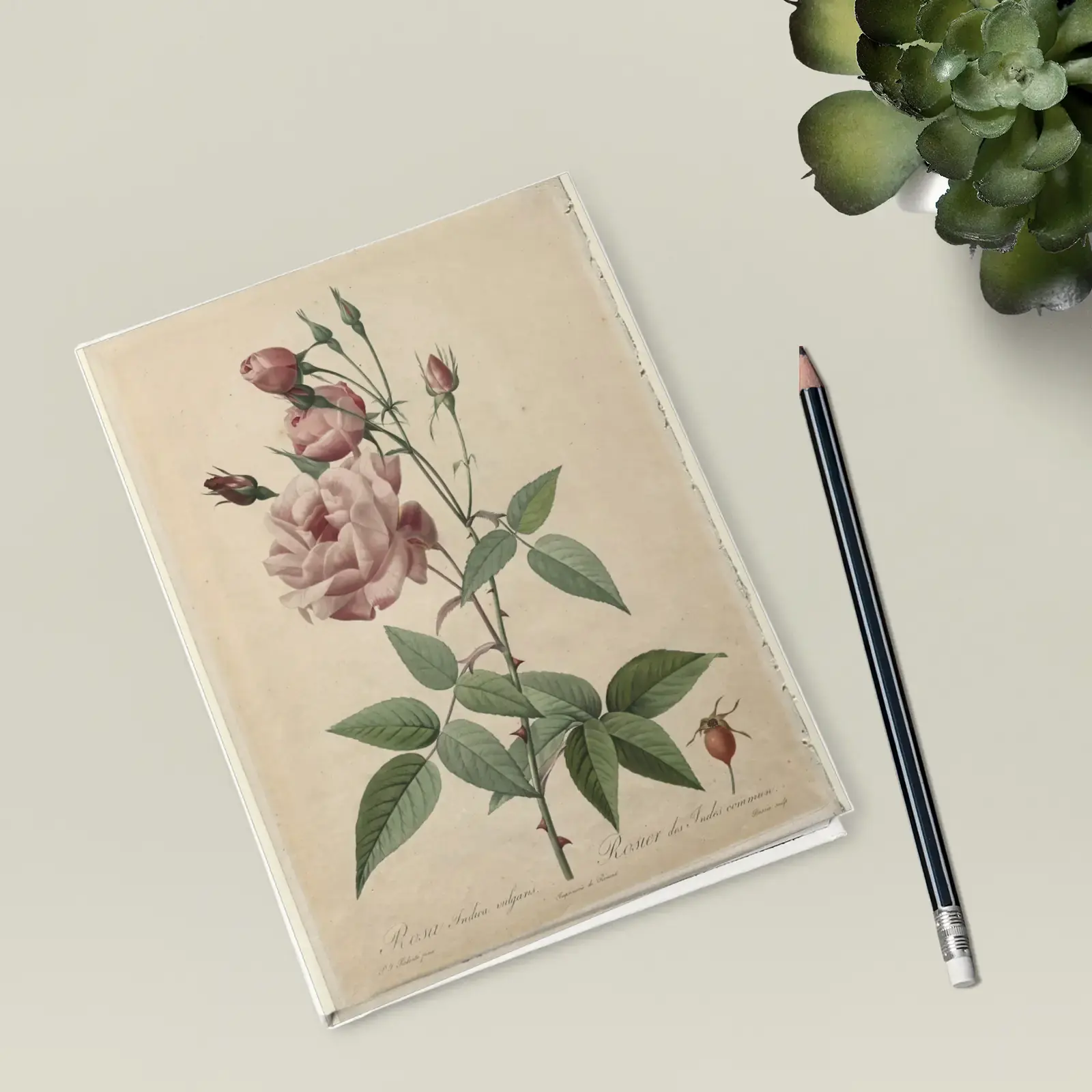 China or Bengal Rose, from Les Roses by Pierre-Joseph Redouté, printed on a hardcover journal