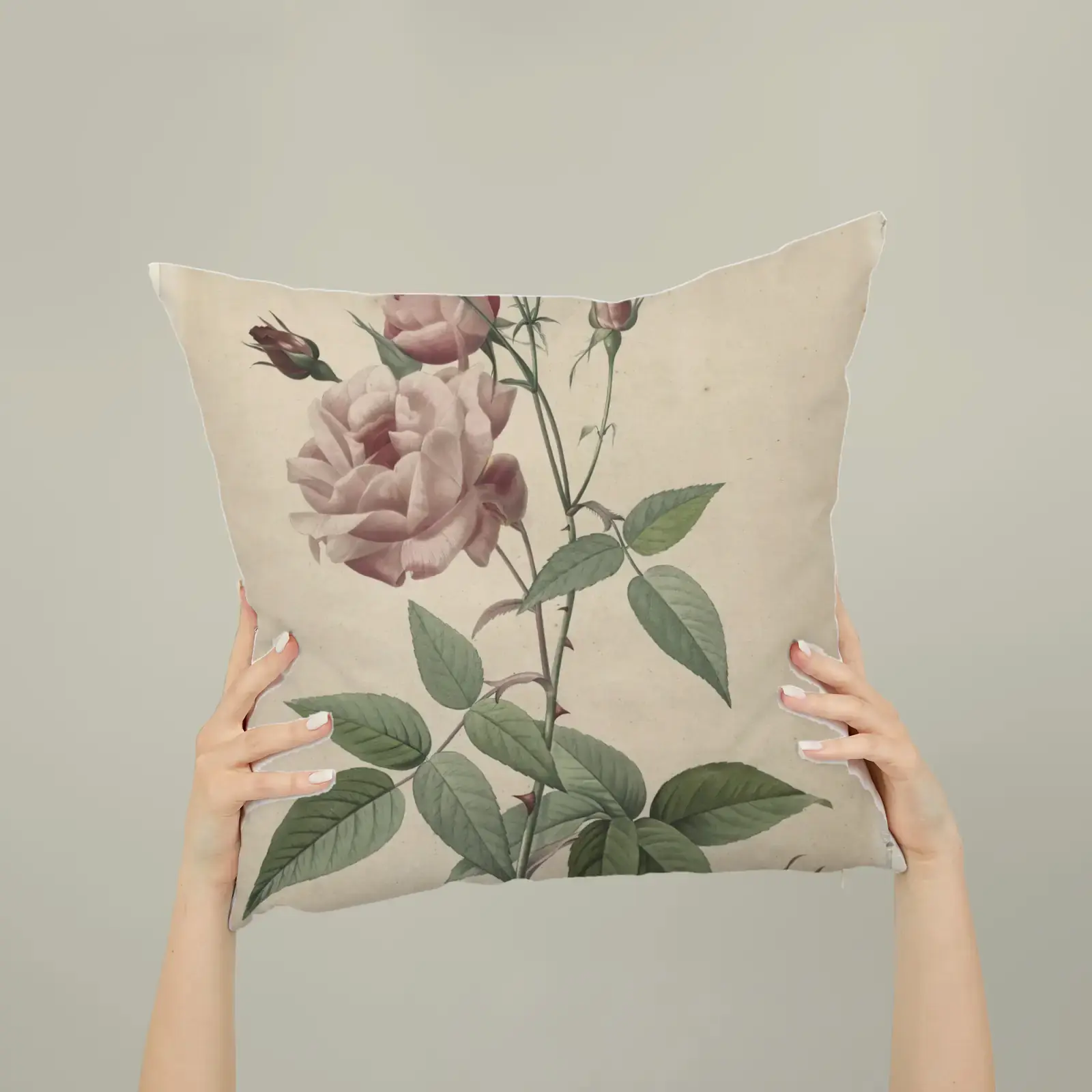 China or Bengal Rose, from Les Roses by Pierre-Joseph Redouté, printed on a square pillow