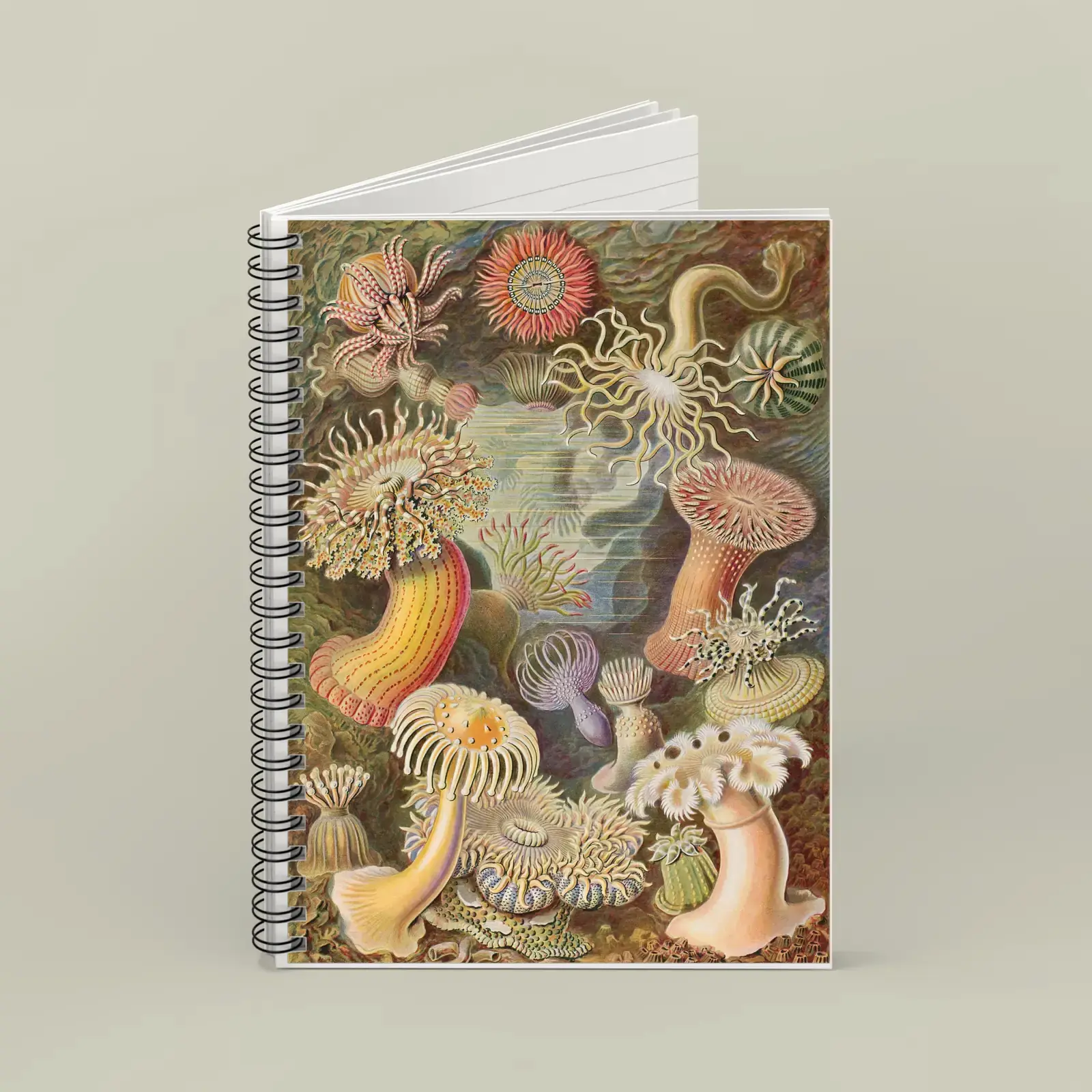 Actiniae (Sea Anemones), from Art Forms in Nature by Ernst Haeckel, printed on a spiral notebook