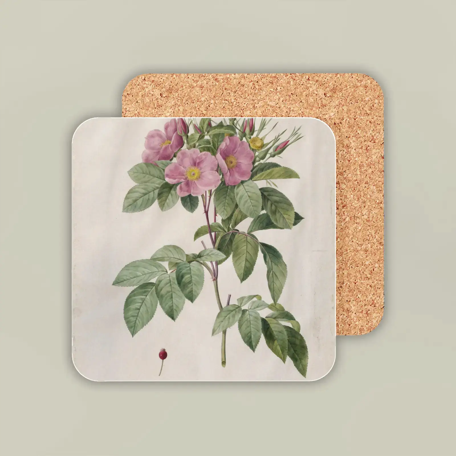 Pasture Rose (Rosa carolina corymbosa) by Pierre-Joseph Redouté, printed on a coaster