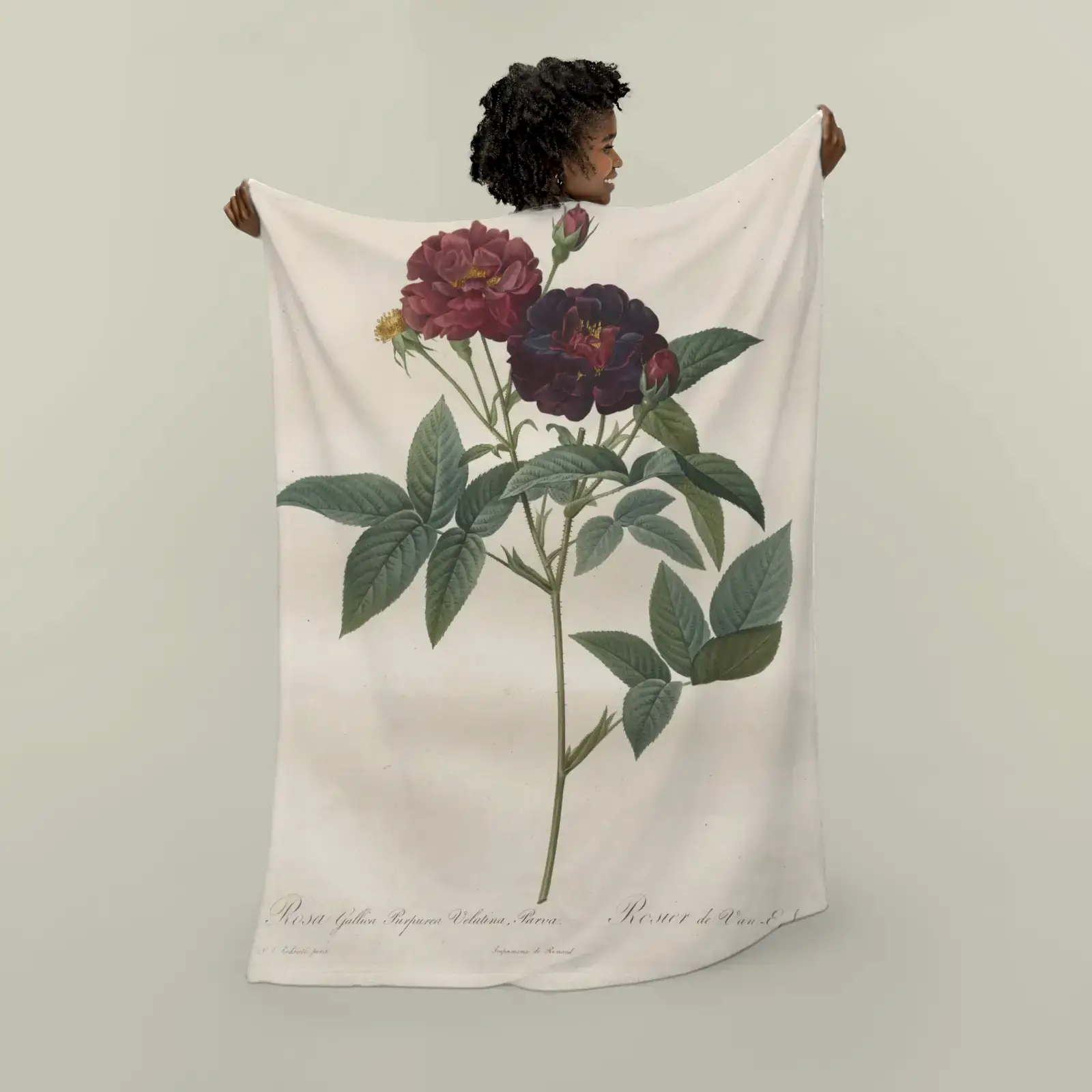Rosa gallica purpurea velutina parva, from Les Roses by Pierre-Joseph Redouté, printed on a plush blanket