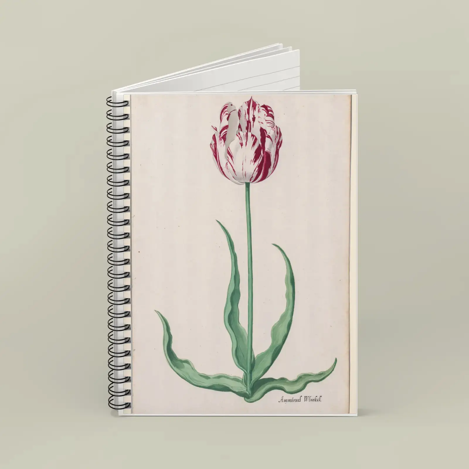 Study of a Tulip (Ammirael Winckel) by Pieter Holsteyn II, printed on a spiral notebook